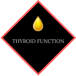 Thyroid Function